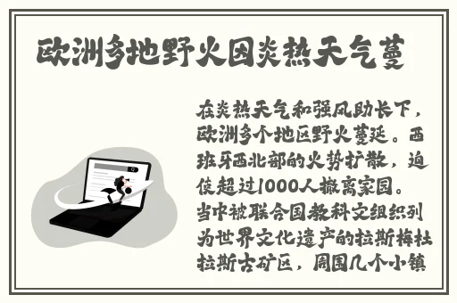 两个人看的WWW视频免费完整版